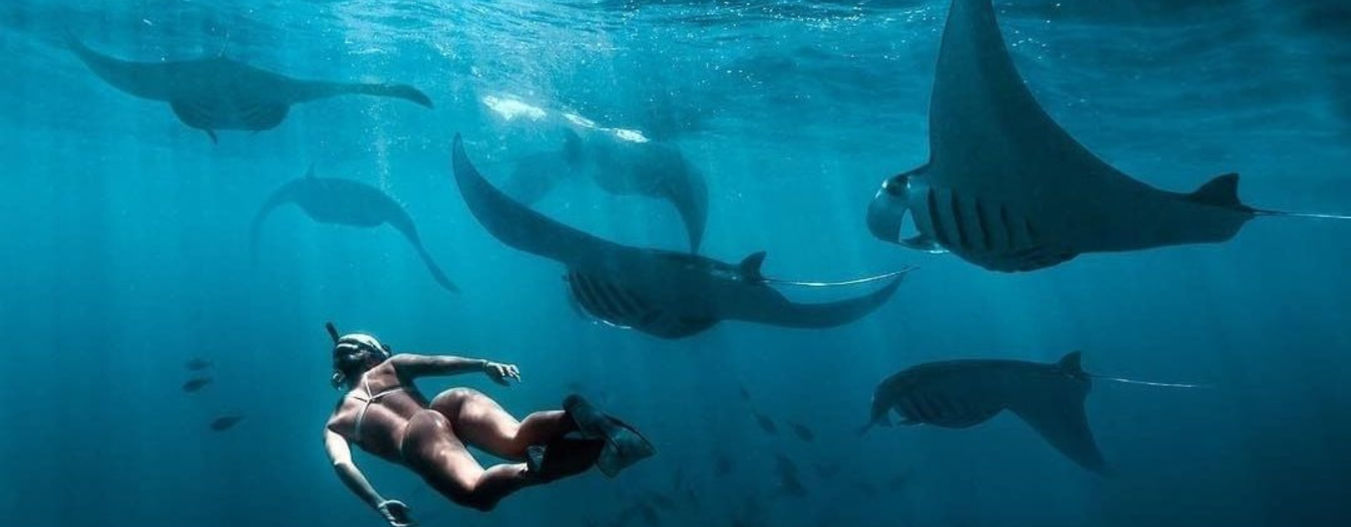 Nusa Penida One Day Tour & Snorkeling Trip