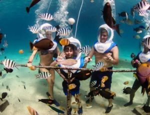 Underwater Adventure and Uluwatu Sunset Jimbaran Dinner