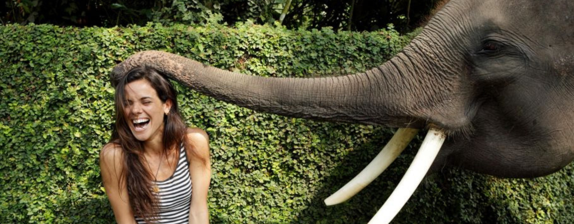 Bali Elephant Bath and Breakfast Day Tour