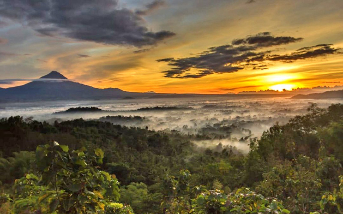 Borobudur Sunrise Halfday Tour